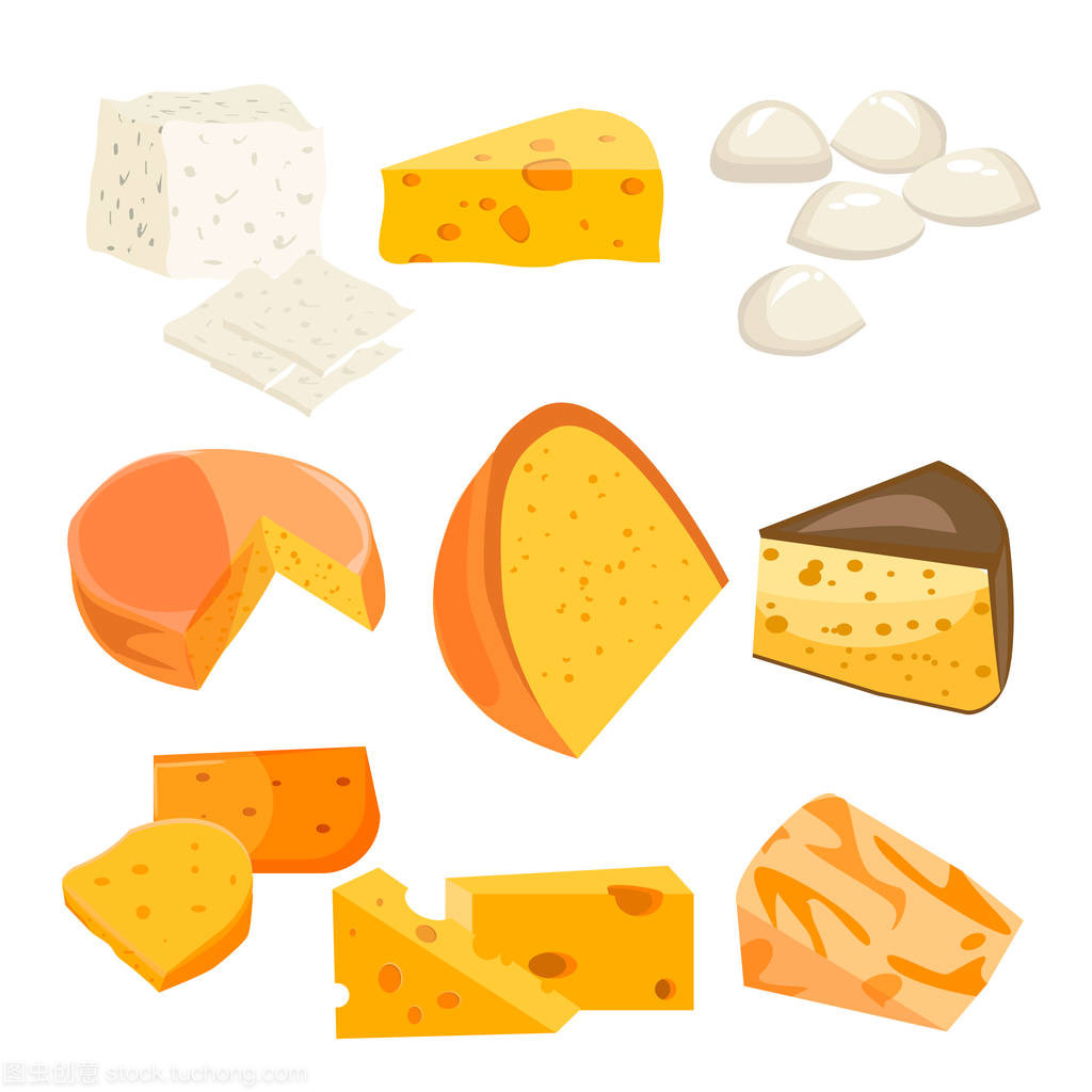 奶酪类型。现代平面样式现实矢量图图标